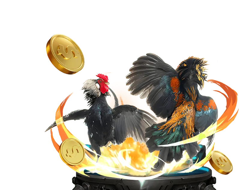 Minh họa các bước đăng ký FCB8 VIP